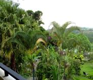 Garden overlook from Volcano Studio