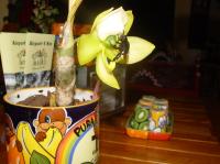 pura-vida-mug-big